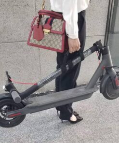 Držadlo pro přenos koloběžky