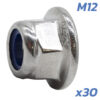 DUALTRON SUSPENSION CARTRIDGE NUT 30PCS DUALTRON SUSPENSION CARTRIDGE NUT 30KS