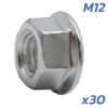 TUERCAS EJE MOTOR DUALTRON M12 - 30 UNDS