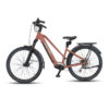 ARENOX +Plus ebike URBAN Copper