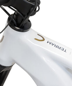 TERRAM ebike MTB Šedá/Bílá