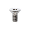 Dualtron hinge screws stainless steel 10 pcs
